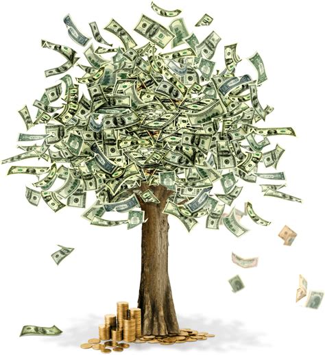 Tree dollar. Things To Know About Tree dollar. 