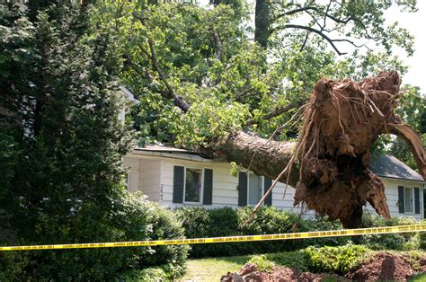 Tree falls on house. If your tree falls on your neighbor’s property due to a storm or other covered peril, the neighbor’s home insurance covers the damage to their structure or personal belongings. If you are proven negligent; for example, you knew the tree was dead, your liability coverage will cover the damage to a neighbor's property. 1. 