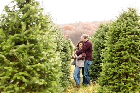 Tree farms that allow photography.  Please visit our Photographer page for bo...