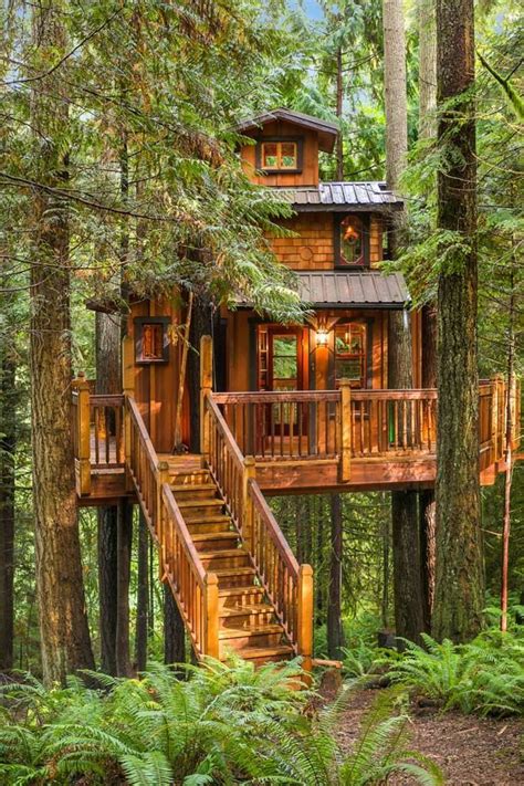 Tree house homes for sale. Oct 5, 2020 ... ... homes through amazing renovations. The TREE HOUSE is no different...live in it while you conjure up the coolest ideas that's make WEST COAST ... 