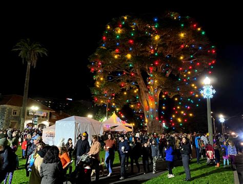 Tree lighting of 135-year-old cypress marks longtime San Francisco tradition