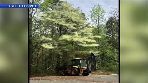 Tree pollen nj. Safety Tips. During peak season for tree pollen, keep your windows and doors closed, especially on windy days. Avoid outdoor activities in the early morning, and be sure to shower and change ... 
