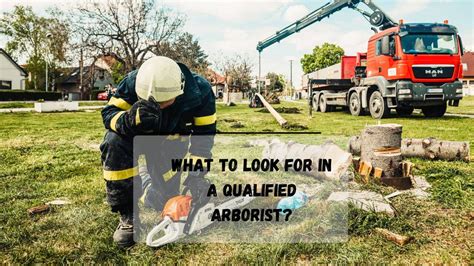 Tree removal business reddit.  Becoming a qualified arborist will set you ...