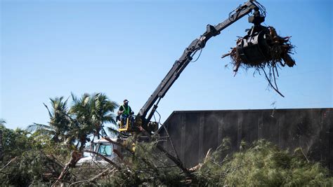 Tree removal project to begin at Causeway Island Park