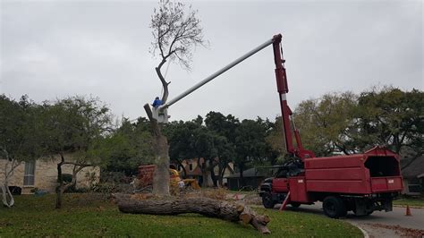 Tree removal service san antonio. Ask if your tree removal company includes stump removal with its services. Your technician will remove stumps either by hand or with specialized equipment. This service costs from $60 to $440, with the average San Antonio homeowner paying roughly $280. How Much Does It Cost To Remove A Tree? On average, tree removal services cost around $560 ... 
