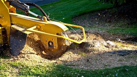 Tree root grinder. Roots Tree, Stump, and Land offers tree services, stump grinding services, stump removal services & more in the Metro-East and St. Clair County region. 