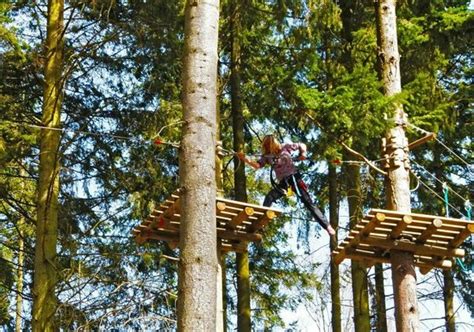 Tree runners andover. Aug 15, 2019 · TreeRunners: Hidden day out! - See 187 traveler reviews, 19 candid photos, and great deals for Andover, UK, at Tripadvisor. 