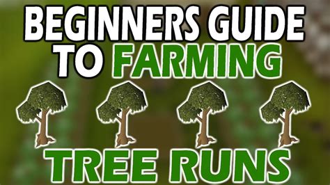 Quick Guide to Tree Runs in OSRS | Farming Guide RollandTV 1.06K subscribers Join Subscribe 0 Share No views 1 minute ago Todays video shows you everything you need to do for completing a.... 