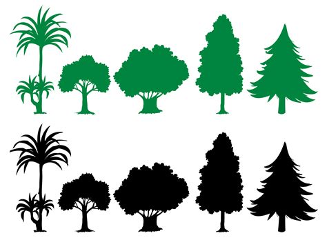 Tree silhouette vector. Things To Know About Tree silhouette vector. 