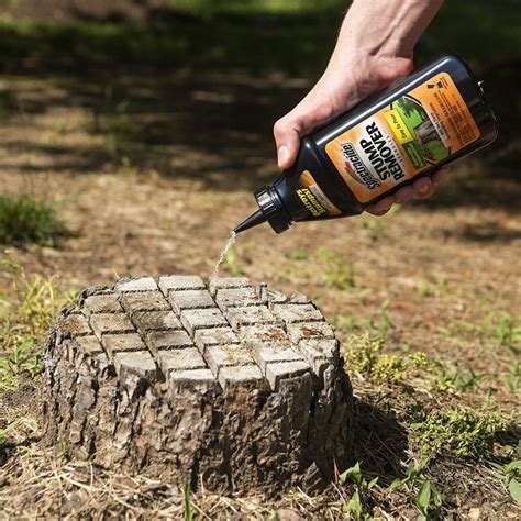 Tree stump remover. Frequently bought together. This item: Spectracide Stump Remover, Case Pack of 1. $612 ($0.38/Ounce) +. Bonide 2746 Stump & Vine Killer Concentrate, 8 oz Stumps and Vines Without harming Turf. Contains Brush Easy Application. Kills Oak, Poison Ivy and More, 1. $1298 ($1.62/Fl Oz) +. 
