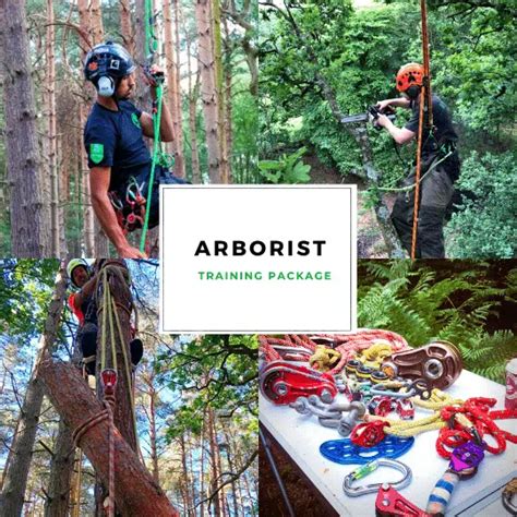 Tree surgeon course.  Gain practical skills in Arboriculture including tree management an...