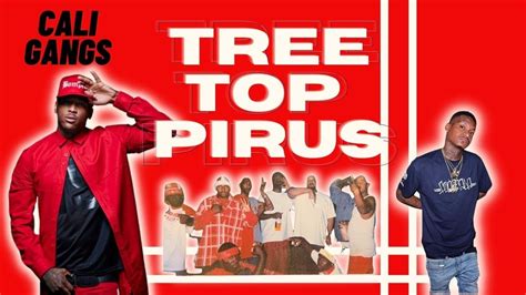 A particular set of Pirus, the "Tree Top Pirus," identify wearing olive green. "MOB Piru" (an acronym and initialism|acronym for M oney O va B itches) is another L.A. Bloods street gang. Rap music mogul Suge Knight has been linked to the gang since he started up Death Row Records. <ref> CrimeLibrary - Hip Hop Homicide </ref> By 2000, many .... 