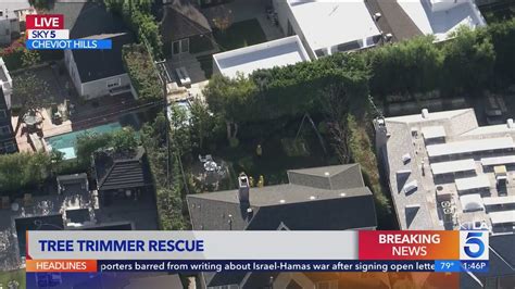 Tree trimmer possibly electrocuted in Cheviot Hills