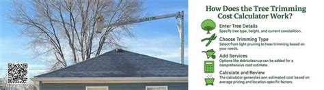 Tree trimming cost calculator. .  <a href=http://c-allworking.com/assets/images/fpty80/...