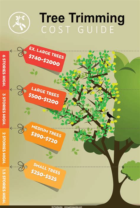 Tree trimming prices near me.  One tree, of course, proves nothing.  Afford...