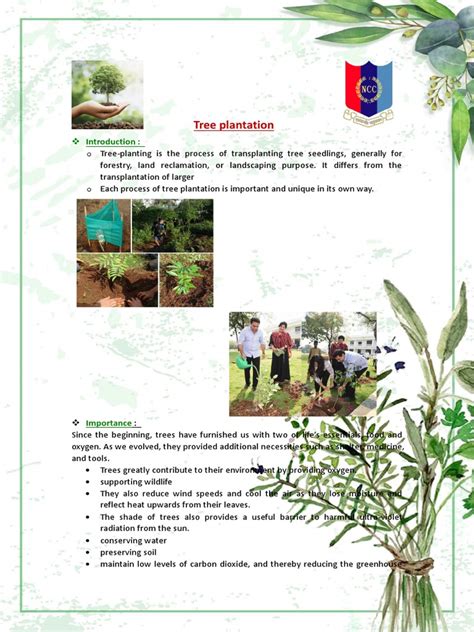 Tree-Planting-Project PDF Trees Plants - Scribd