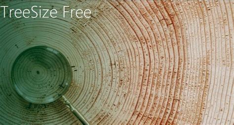 TreeSize Free  (v4.5.3.601)