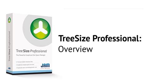 TreeSize Professional 