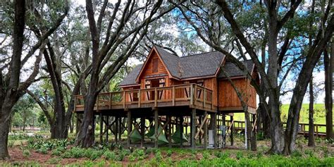 Treehouse lakeland. 1 visitor has checked in at carey and anne's treehouse. 