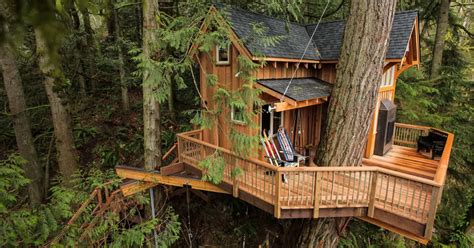 Treehouse_Home Page