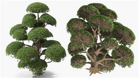 Trees 3dsky.  Export formats: fbx, obj Free download Box tree with Mosai...