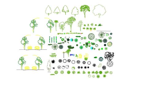 Trees For Landscaping Plan Cad Blocks Free Download Autocad Models