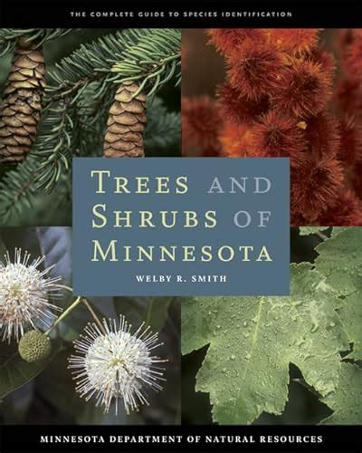 Trees and shrubs of minnesota the complete guide to species identification. - 442 mustang skid steer service manual.