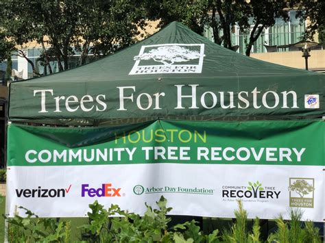 Trees for houston. Things To Know About Trees for houston. 