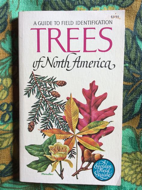 Read Online Trees Of North America A Guide To Field Identification Revised And Updated By C Frank Brockman
