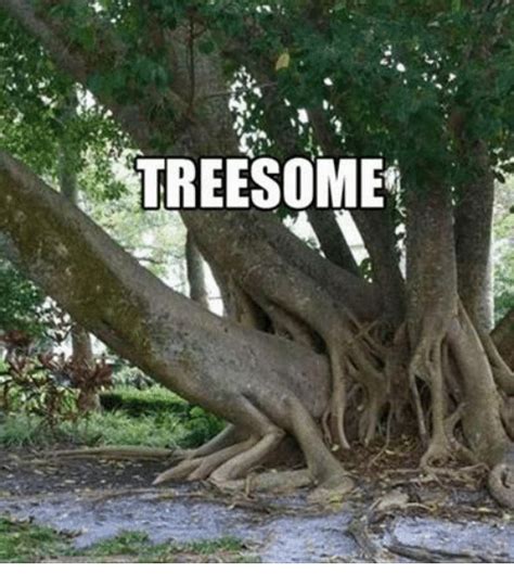 Treesom. Things To Know About Treesom. 