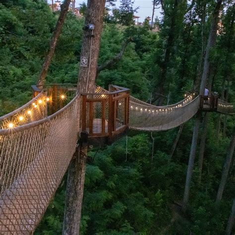 Is Anakeesta Good for Little Kids? First and foremost, Anakeesta has plenty of activities at the park that are perfect for young children. The Treetop Skywalk, ...