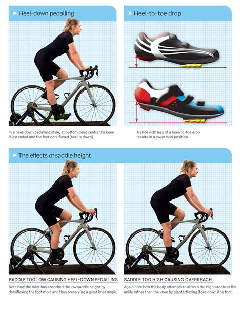 Trek Bike Fitting Chart