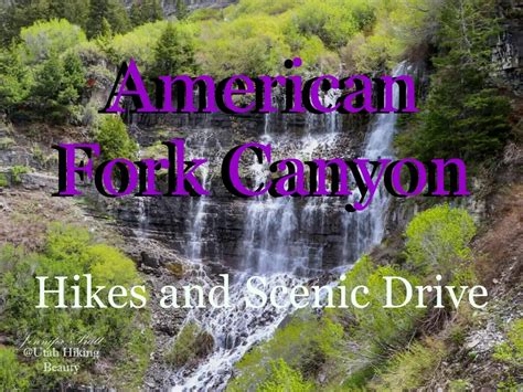 Trek of American Fork - Overview, News & Competitors - ZoomInfo