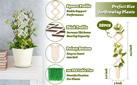 Trellis for climbing plants indoor.  The process is simple and should take less...