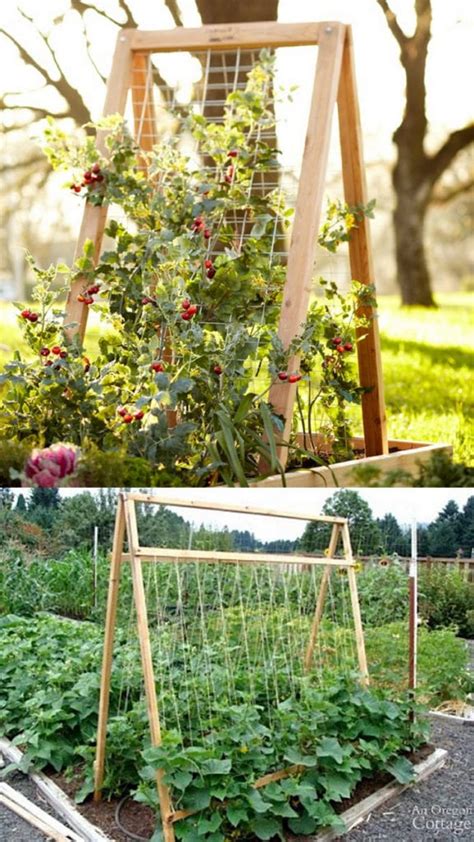 Trellis for climbing vegetables.  A-Frame Trellis: Build a hinged structure for...
