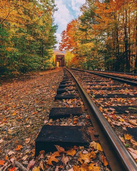 veodersti.rgarabwor.edu.pl. 