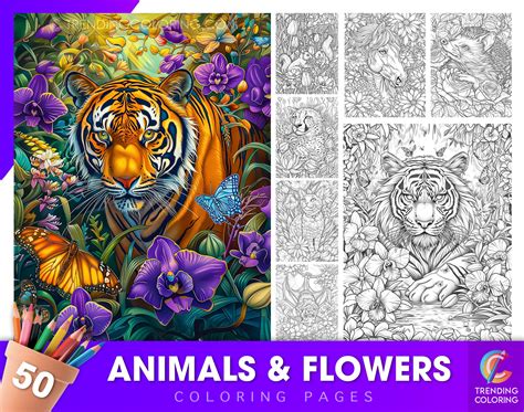 Trending Coloring