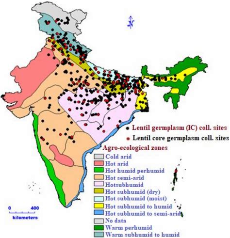 Trends of Dried Lentil production in Bangladesh - Tridge