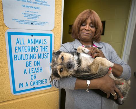 Trenton animal shelter. Things To Know About Trenton animal shelter. 