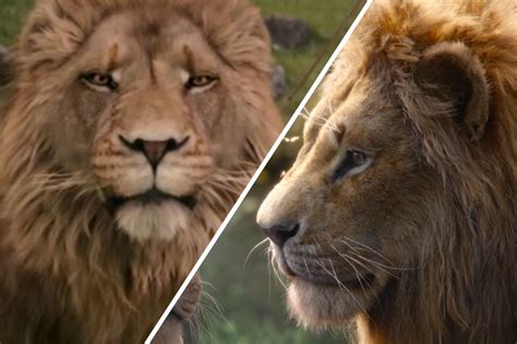Trex vs aslan