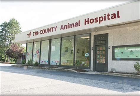Tri county animal hospital. Things To Know About Tri county animal hospital. 