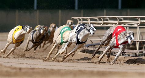 The schedule for live greyhound races in 2022 is set, and time is running out for dog racing fans in Iowa. On Thursday, the Iowa Racing and Gaming Commission (IRGC) approved the license for a one-month, 18-meet schedule next year in Dubuque. The shortened 2022 season begins April 16 — the Saturday before Easter — and ends on May 15, a week ...