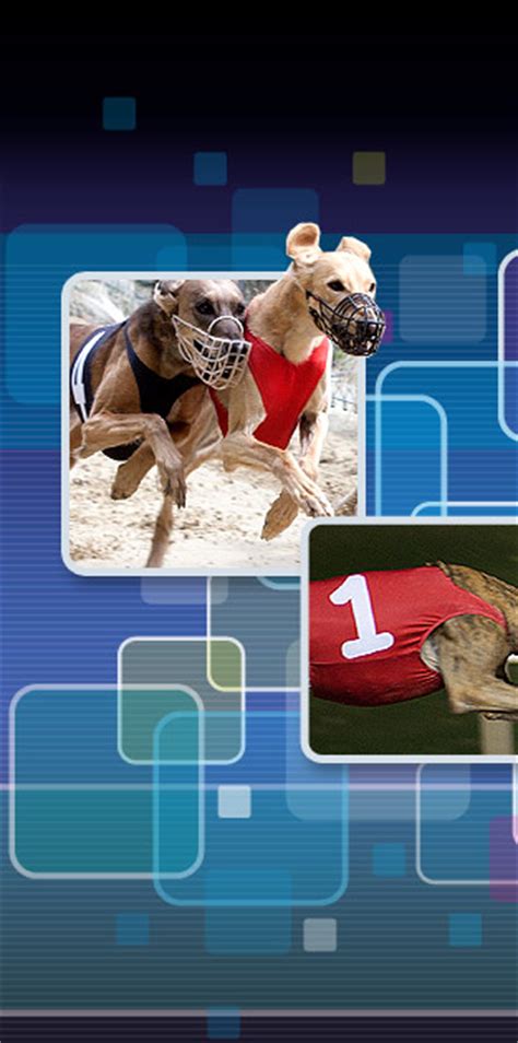 Live Racing. Enjoy the excitement of live greyhound racing from anywhere by streaming races on your phone or computer! Start watching now! The content you are trying to view …