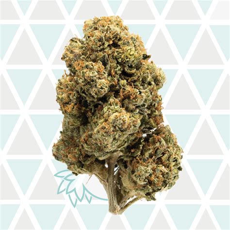 Anxiety. calming energizing. low THC high THC. Bred by Greenpoint Seeds, GMO Kush is a cross of GMO and Topanga Canyon OG. Both parents are known for their potent, flavorful buds that are as ...