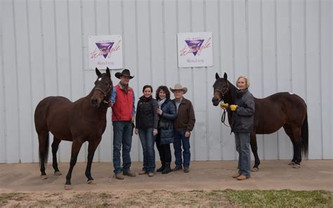 Nov 11, 2023 · Triangle Sales, the leader among all-around Western Performance Horse sales, hit a high mark with its 2023 Fall Sales on October 27 and 28 held concurrently with the 2023 Nutrena AQHA and Adequan® Select World Championship Shows. An average of $32,812 was realized on the eight highest sellers, with a top 20 average of $25,960, and the overall ... . 