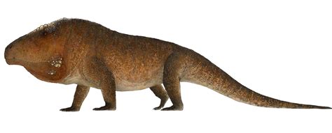 Triassic dinosaur with giant