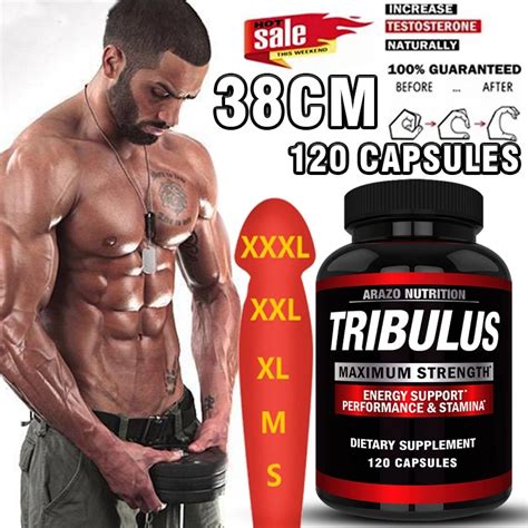 Tribulus terrestris testosterone