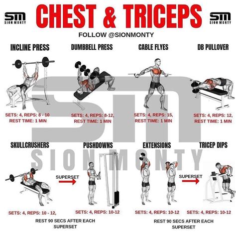 Tricep Workout For Beginners🔥 #shorts #short #workout #fitness …