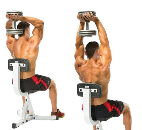 Tricep curls. Things To Know About Tricep curls. 