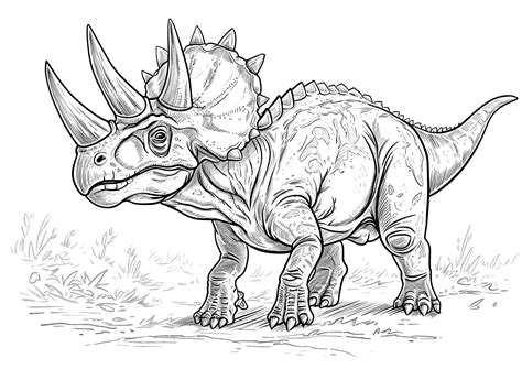 Triceratops Coloring Pages Dinosaur Addicts